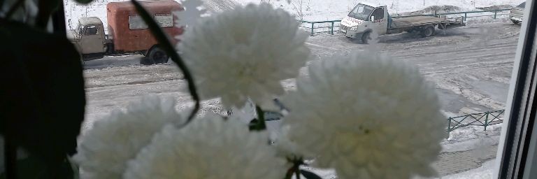 Светлана Алта