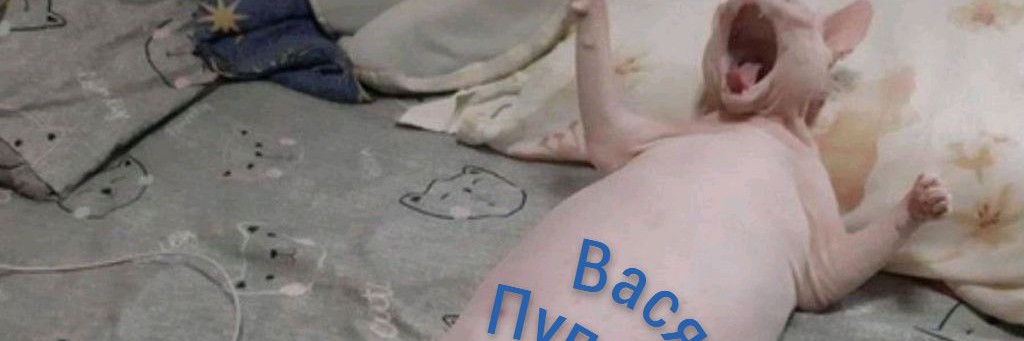 Юмор и не только...🐼