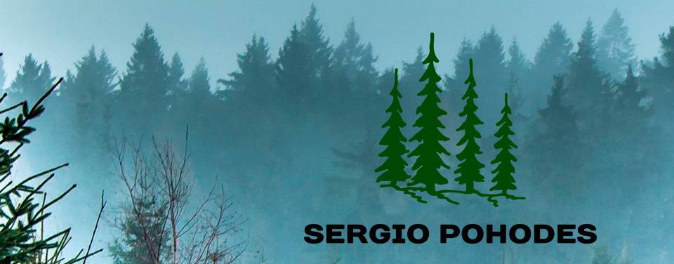 Sergio Pohodes