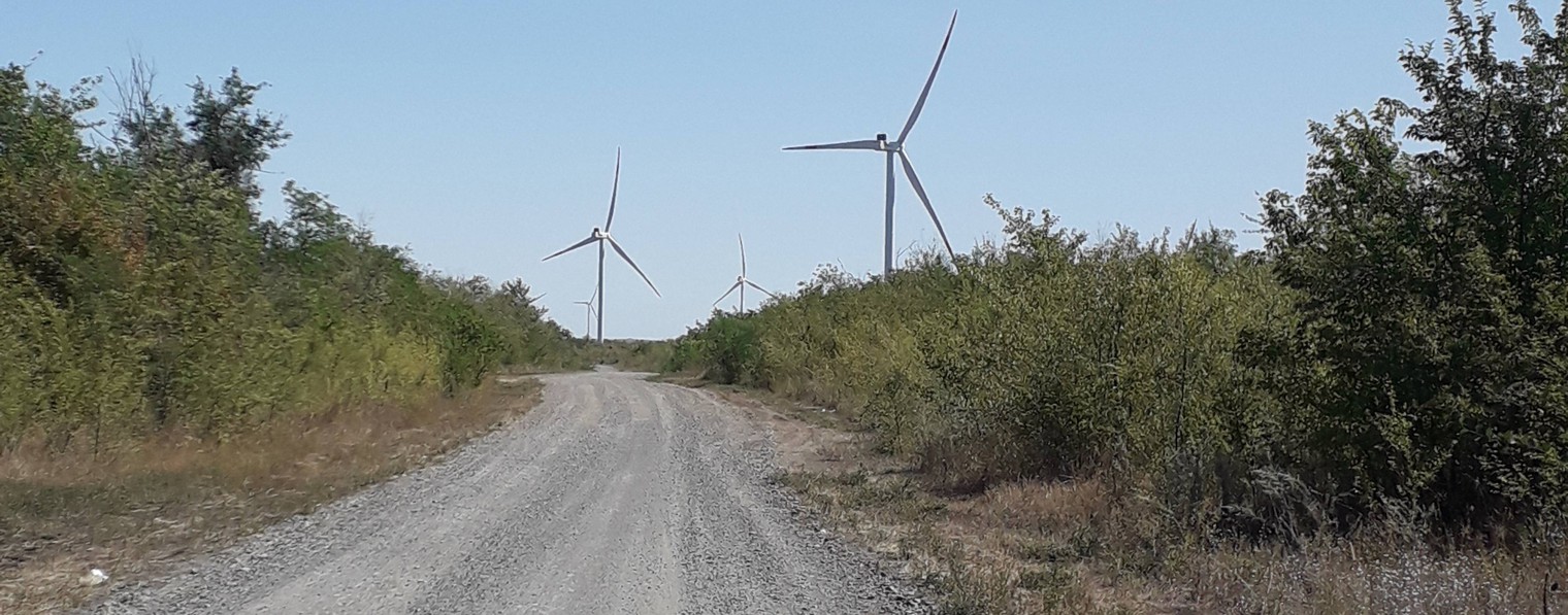 ЗОЖ ПО НАУКЕ | Петровский