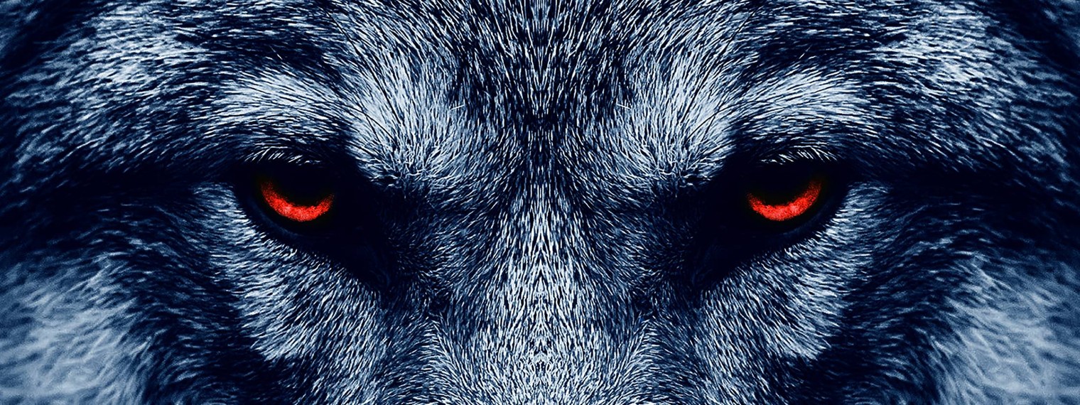 Хоккейный клуб "Нефтехимик"