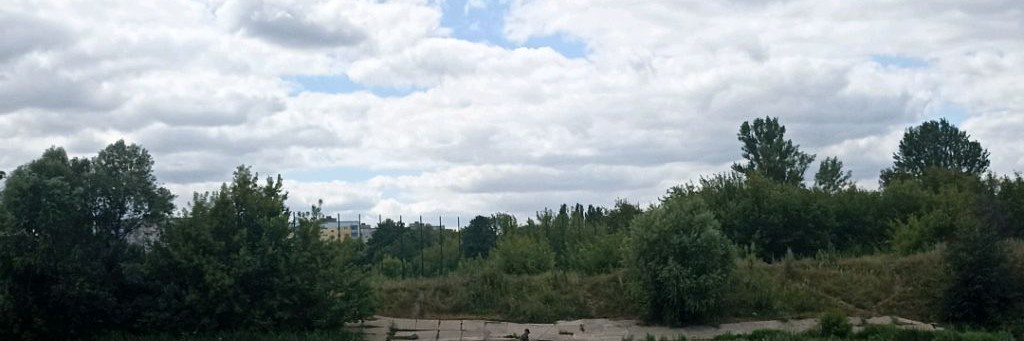 malcev