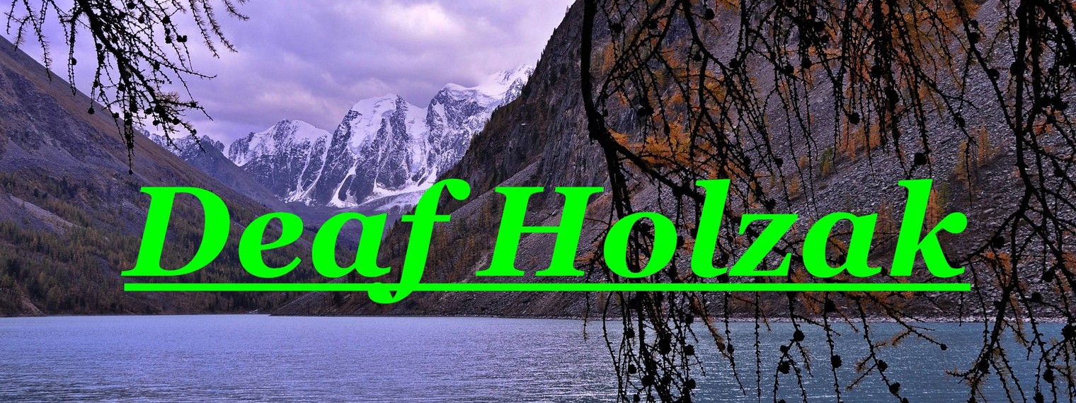 Вячеслав Холзаков