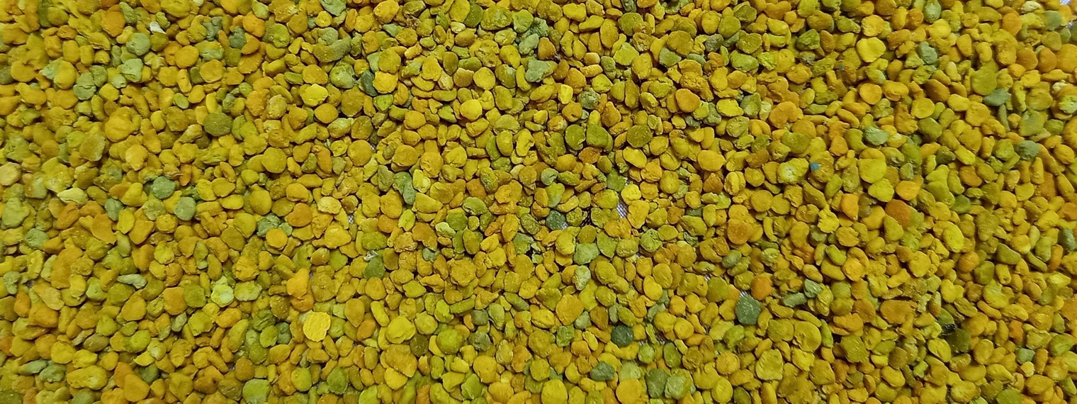 🍀Мед и травы Прикамья🍯