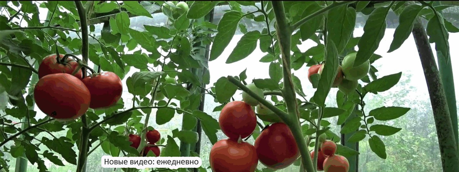 Дела Хозяйские