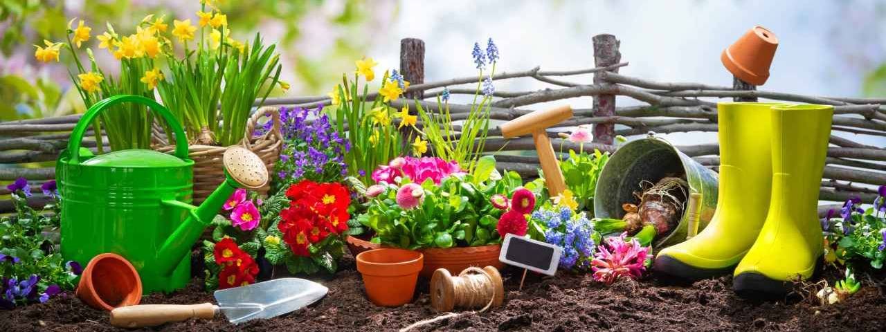 ꧁༻Лидия Александровна. Огородные радости༺꧂