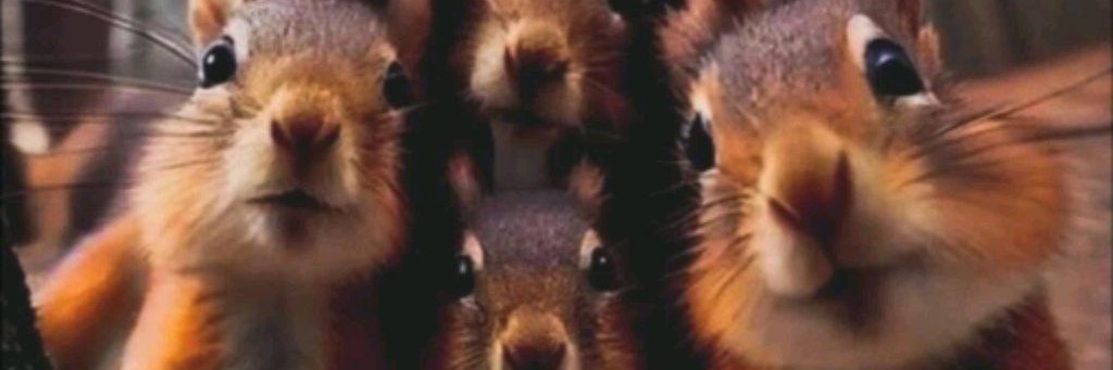 ВСЁ СОВСЕМ НЕ ТАК, КАК НАМ КАЖЕТСЯ.