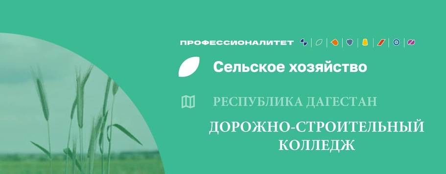 Дорожно-строительный колледж