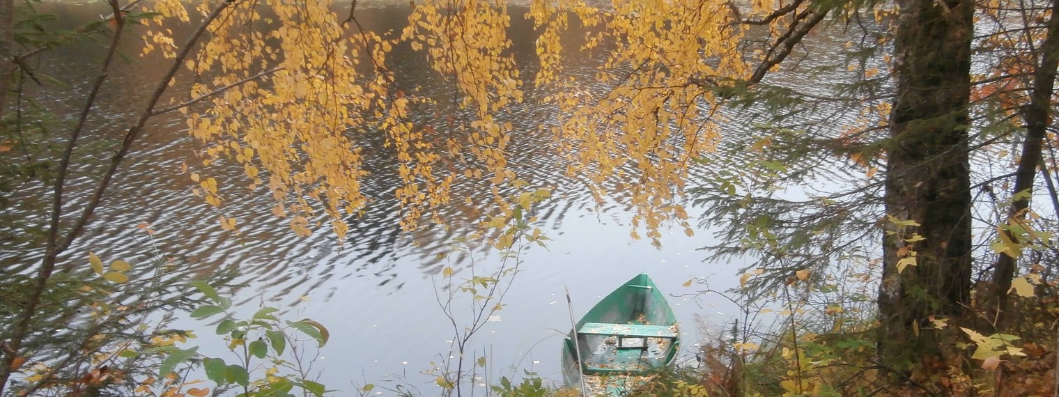 Сергей Красиков