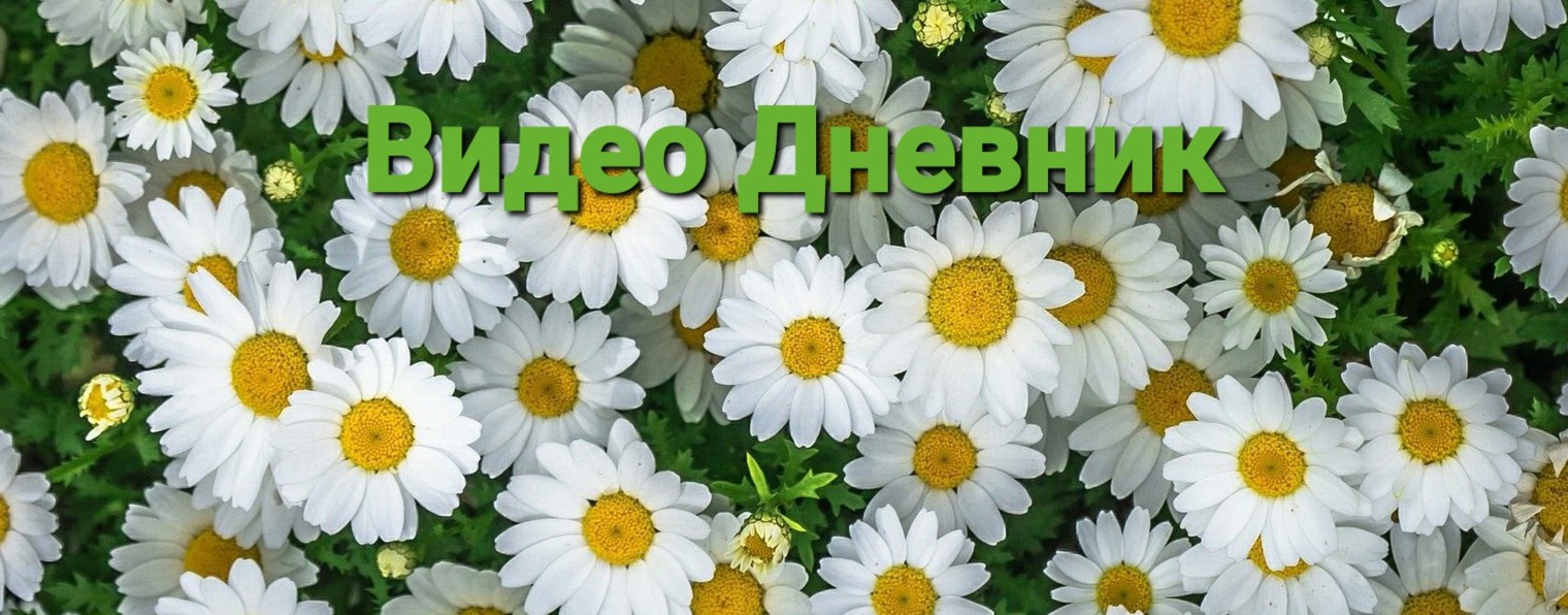 ТОМА 75