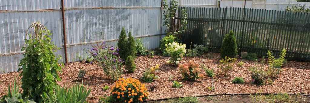 Садовые истории