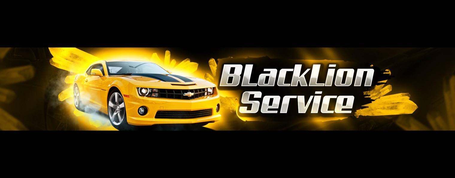 BlackLion_Service