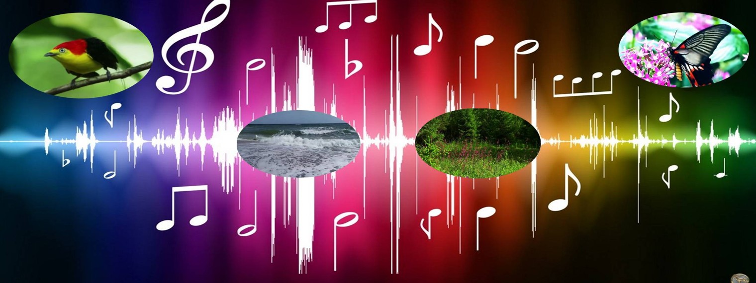 ЗВУК ПРИРОДЫ