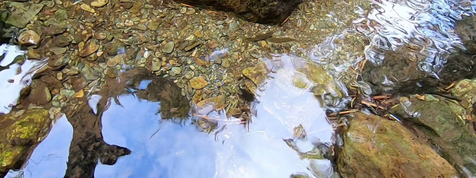 Взгляд Малахова