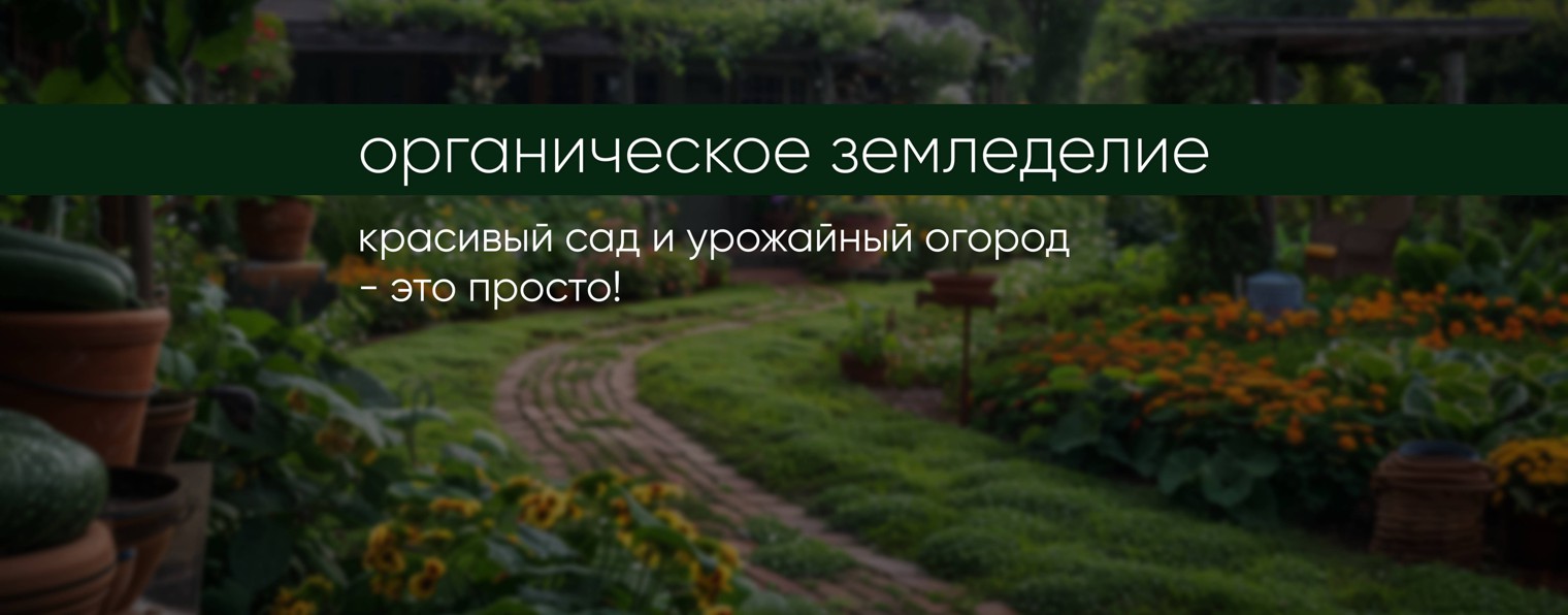 Агроблог Светланы Золотарёвой