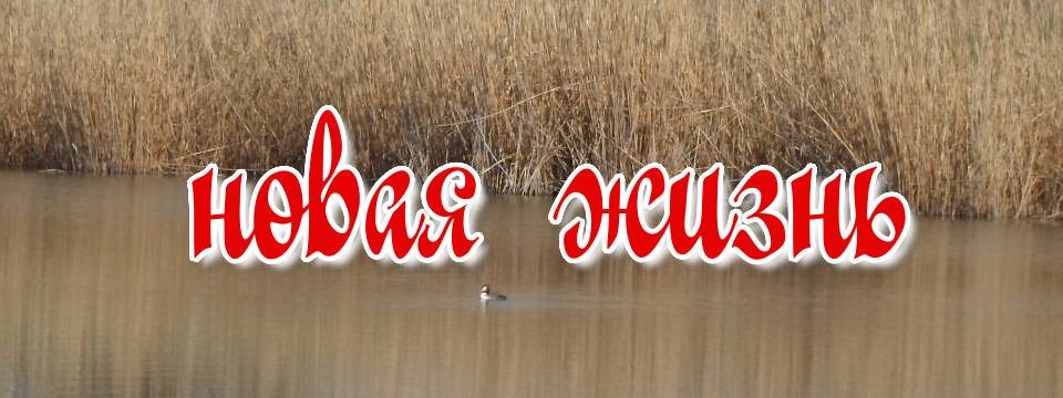 НОВАЯ ЖИЗНЬ