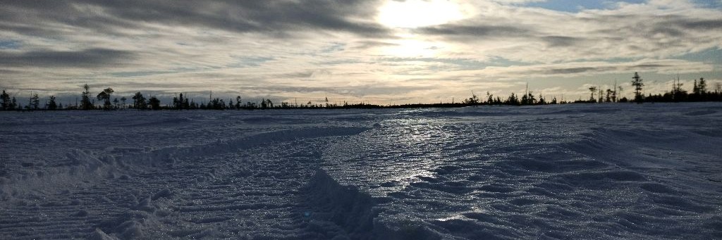 Гаражные будни 86