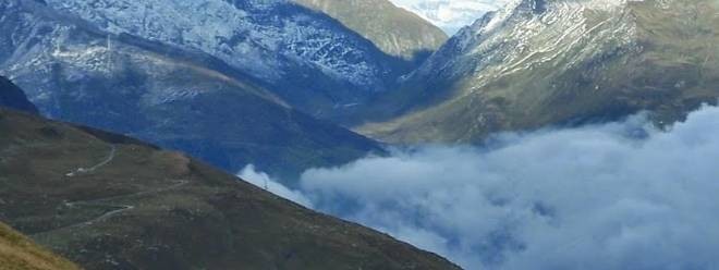 Елена Тер-Аванесова