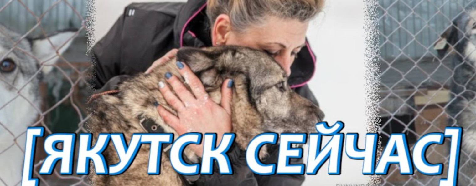 Спасение животных Якутск сейчас
