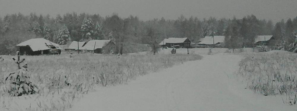 Саша Zимний