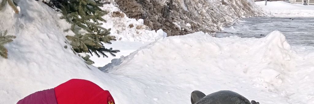 Восстановление зрения С Людмилой Лазаревой