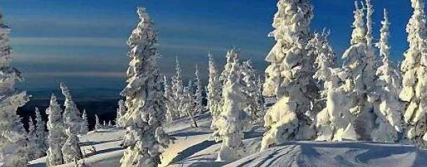 Где то в Сибири