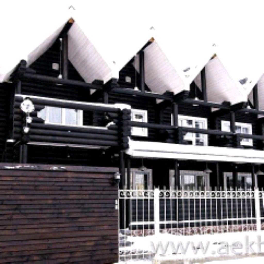 Алена Крутик