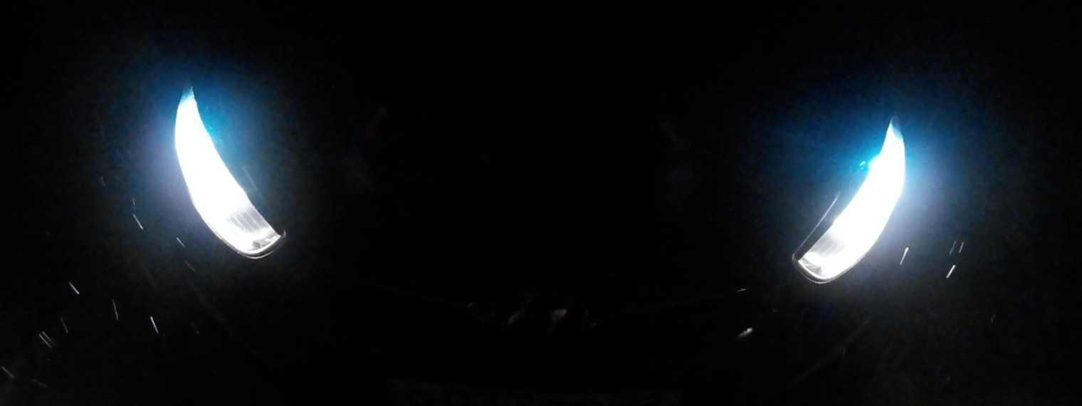 Лысый в кепке