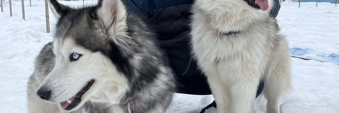 Салям Дустар реалити