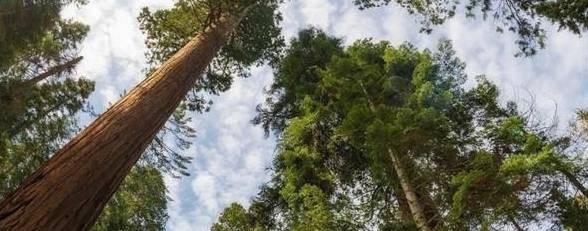 В поисках счастья