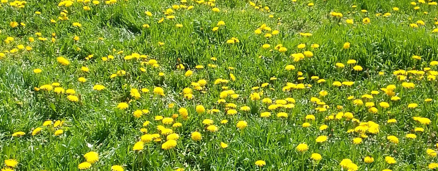 На пенсии не скучно!