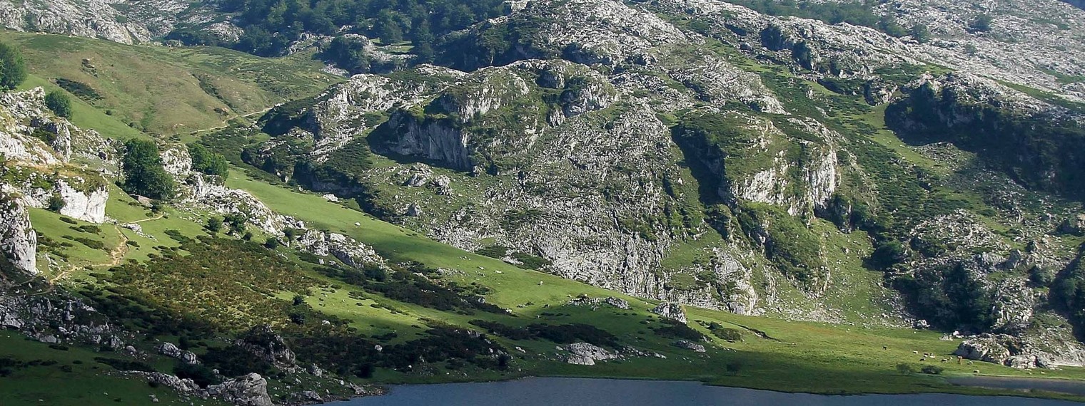 Релакс