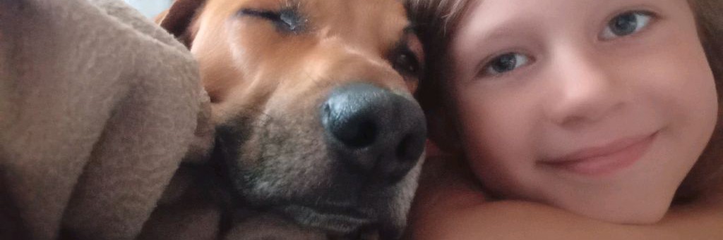 🤍Влог_Вика💛