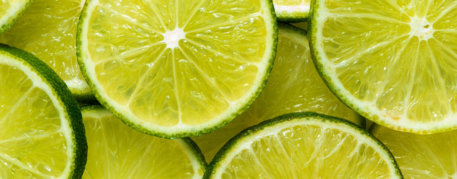 Лэйла Куцегол