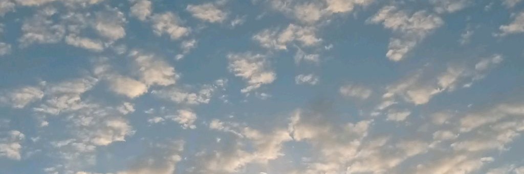 СОЛОМАТОВА ЛЮСЯ