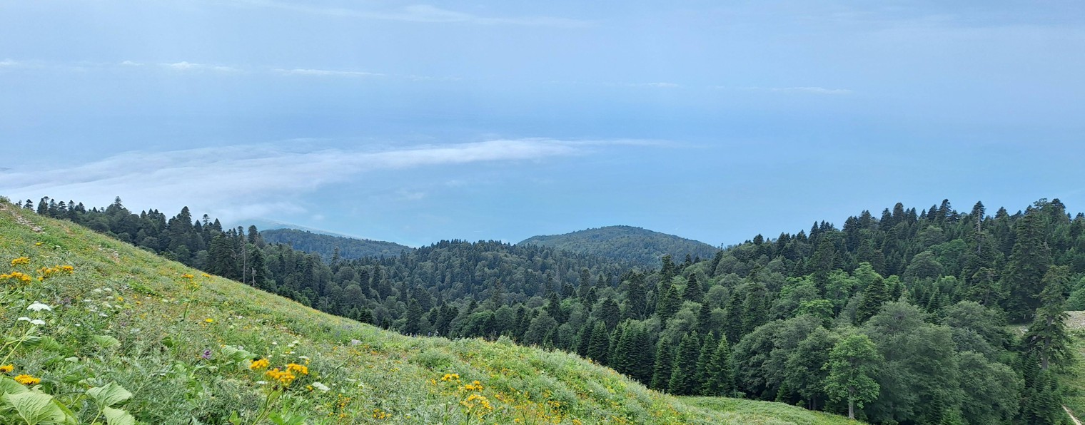 Сергей Грушин