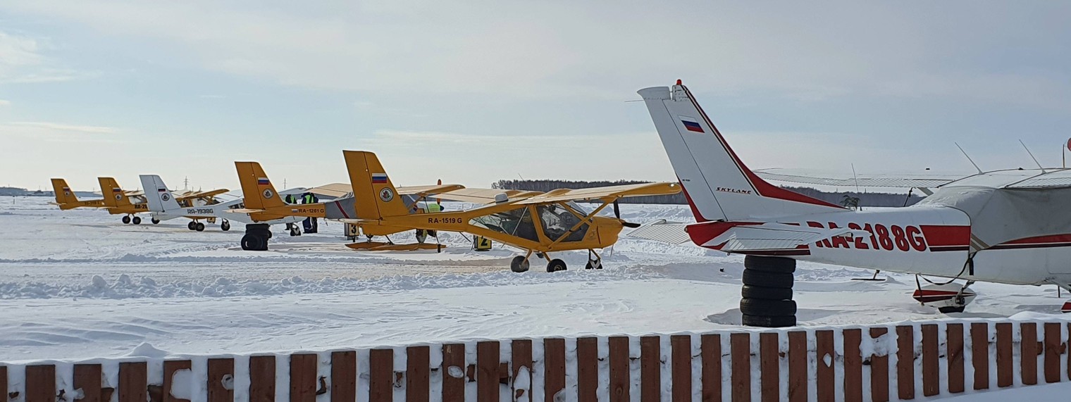 Светлана Киреева