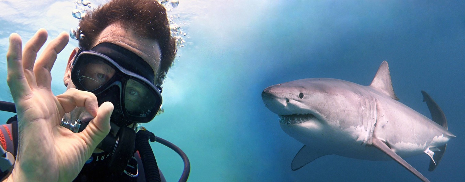 Сергей Петренко