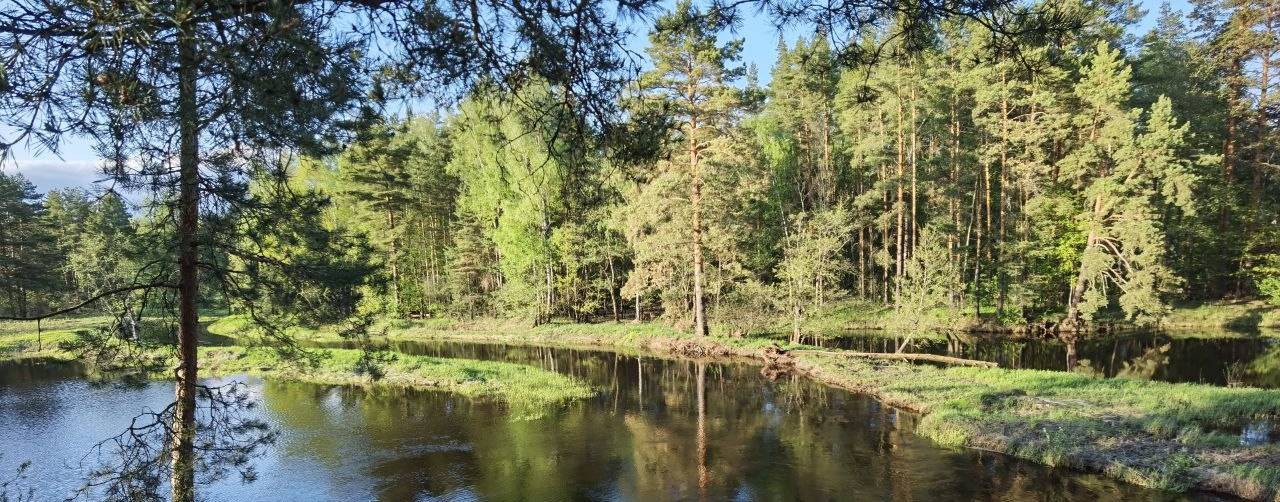 Приключения Тори