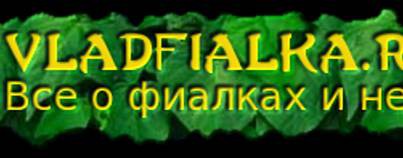 VladFialka