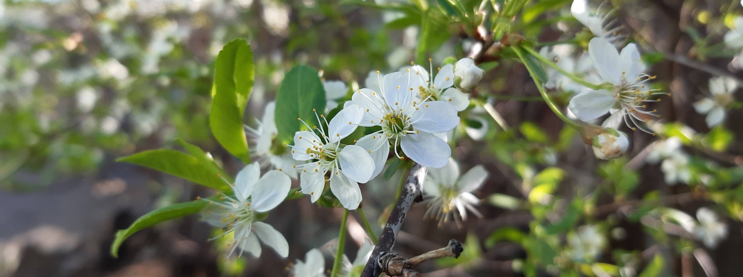 Всё обо всём