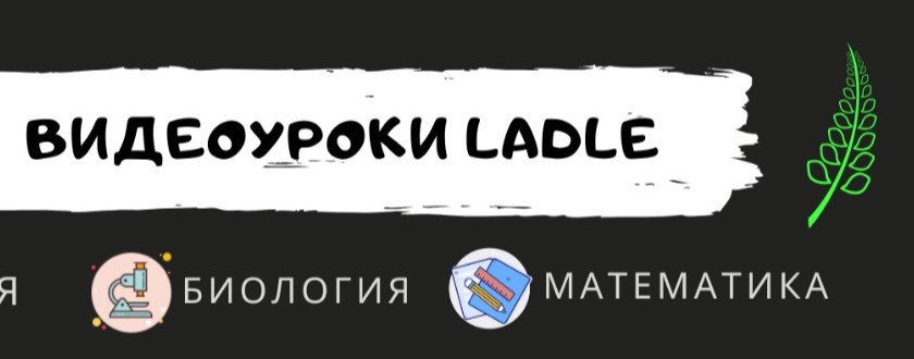Нескучные видеоуроки Лэйдл - Ladle