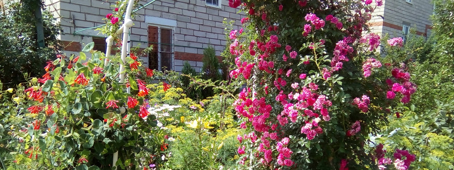 Татьяна Осокина Пенсионные будни и развлечения