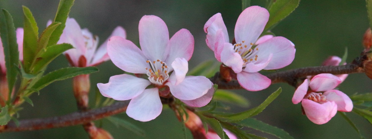 Репортаж от Василия Кузьмина