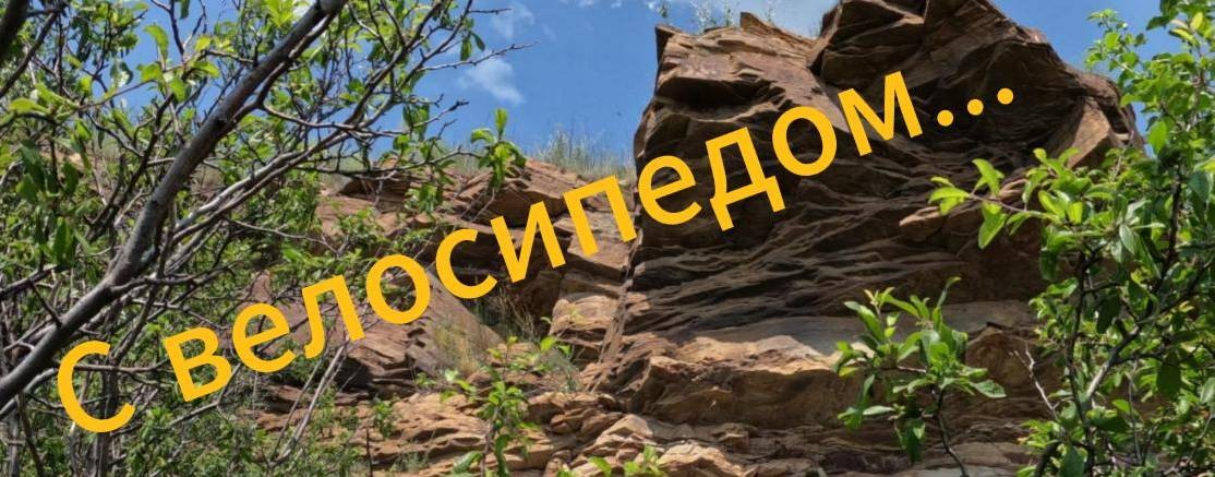 С велосипедом и фотокамерой.