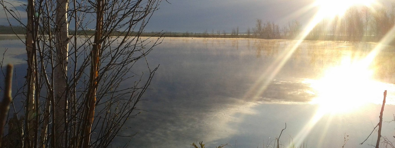 Левый берег оби регион86