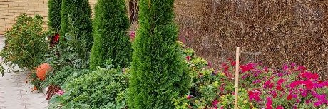 САДОВОД ИЗ СЕЛА