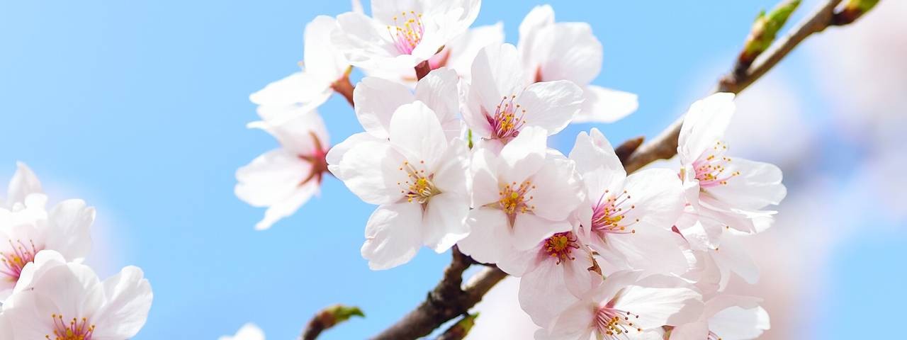 ЗДОРОВЬЕ и БИЗНЕС  для ВСЕХ