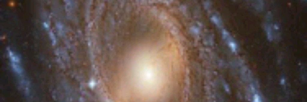 Камерный хор Певчие