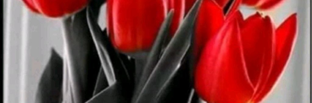 Кристина Чудакова